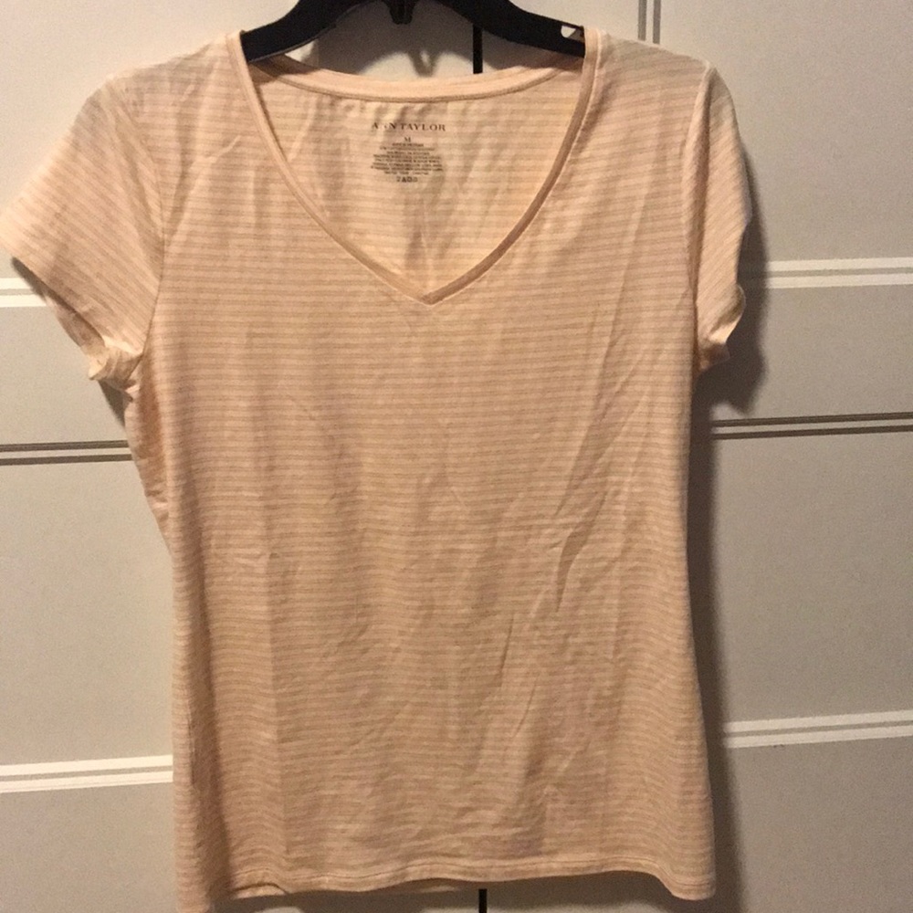 NWT striped V-neck